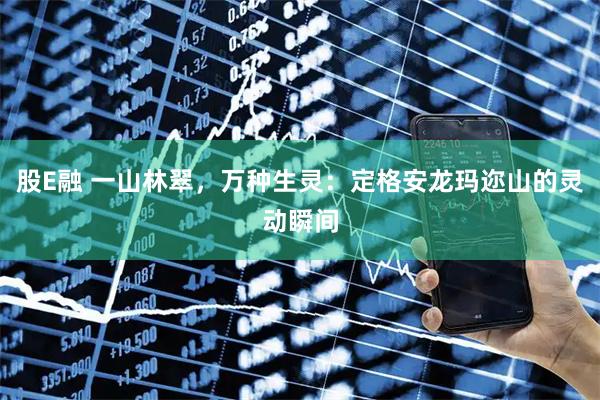 股E融 一山林翠，万种生灵：定格安龙玛迩山的灵动瞬间